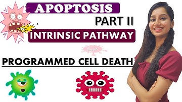 APOPTOSIS PART 2 - Programmed Cell Death|Cancer Biology|Cell Biology|