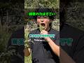 雑草を舐めたらいけんから‼️そもそも育てようとしてないのにあれだけ生えとる、生きれるってどういうことか?😆#地球防衛群#雑草の力#水#微生物#スギナ#ヨモギ#環境問題