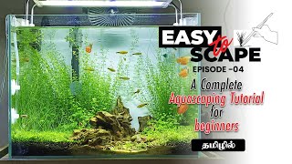 Easy To Scape  A Complete Aquascaping Tutorial for Beginners | Episode 04 | Tamil #amudhaquascapes
