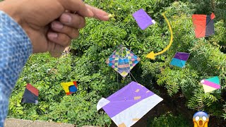 New tricks to caught kite from tree🌲 || how to catch other kite from tree 🌳 #kite