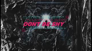 Tiësto & Karol G - Dont Be Shy (Robert Georgescu And White Remix)