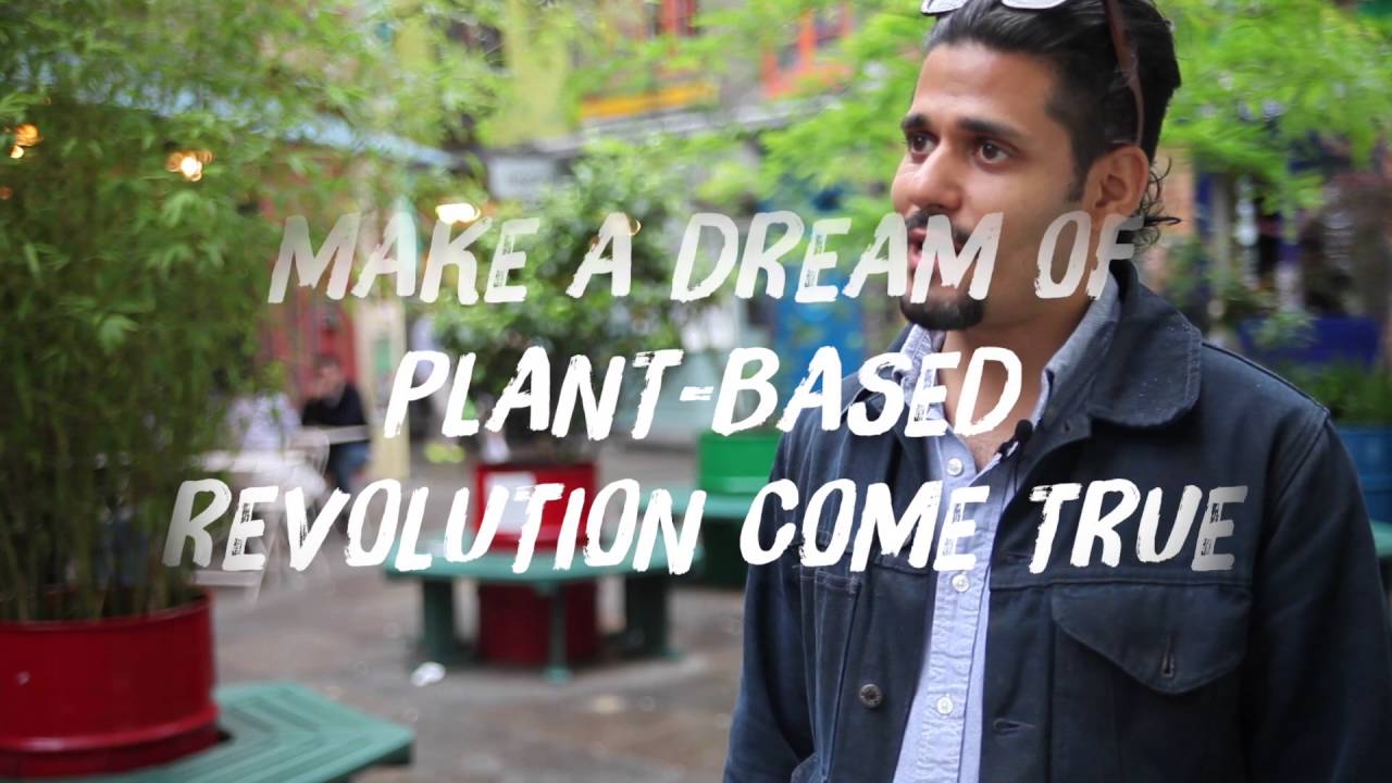 Wild Food Cafe kickstarter campaign: short version