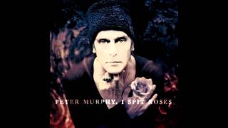 Video thumbnail of "Peter Murphy - The Prince & Old Lady shade"