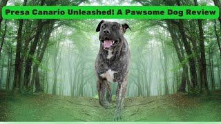 🐾 Presa Canario Unleashed: A Pawsome Dog Review! 🌟 #Presacanariofacts I#Dogs #Puppies