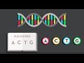The Science Of Mutations And Their Impact On Human Evolution