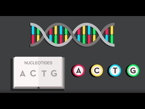 Video: Kur notiek DNS mutācijas?