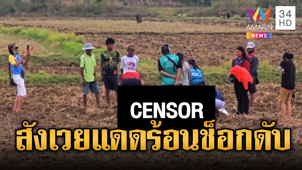 สังเวยอากาศร้อนจัด หนุ่มหาเขียดช็อกตาย | ข่าวอรุณอมรินทร์ | 06/03/69
