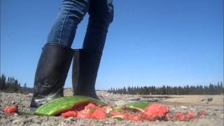 Rubber Boots Crush The Big Watermelon