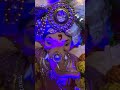 Ganpati bappa morya 🙏🏻
