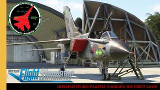 IndiaFoxtEcho Panavia Tornado IDS First Look | Tonka | Mighty Fin | Electric FlickKnife | MSFS