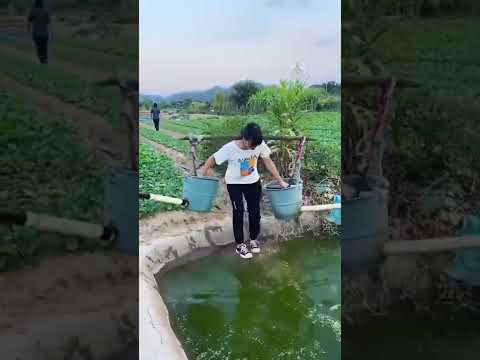 Китайская смекалка.#4294 #satisfyingvideo#satisfying#oddlysatisfying#shorts