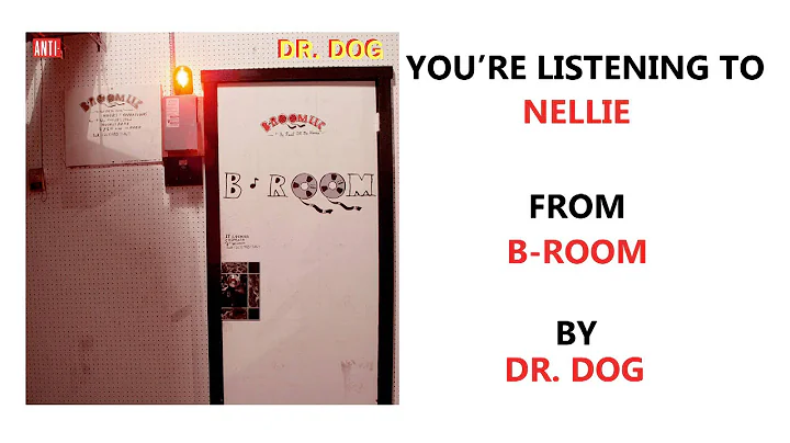 Dr. Dog - "Nellie" (Full Album Stream)