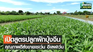 ไม่ธรรมดา ! “ เกษตรกรเมืองปทุมฯ” เปิดสูตร ปลูกผักบุ้งจีน  คุณภาพดี ส่งขายเซเว่นฯ | เกษตรนิวเจน