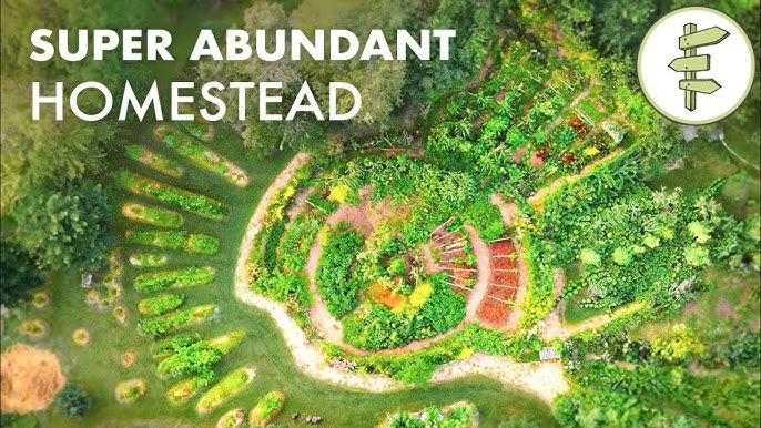 Permaculture: Transform Your Garden into a Green Oasis