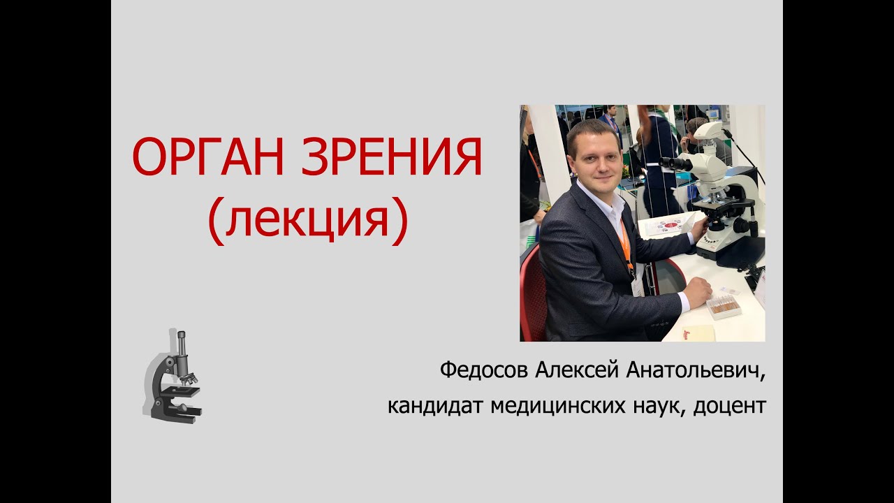 ОРГАН ЗРЕНИЯ (ЛЕКЦИЯ ПО ГИСТОЛОГИИ)