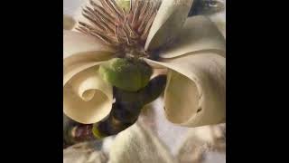Textured encaustic photograph