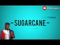 Camidoh  sugarcane remix offical lyrics ft king promise mayorkun  darkoo