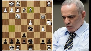 Гарри Каспаров посчитал на 1 ход дальше Вальехо! Шахматы.