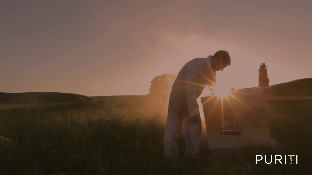 UMF15+ Mānuka Honey // 500 g video thumbnail