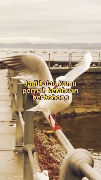 Ketika WANITA di BOHONGI #short #shorts #wanita #cinta #dibohongi
