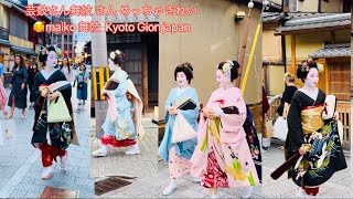 芸鼓さん舞妓 さん めっちゃきれい🥰maiko #舞妓  #maiko #kyoto Kyoto Gion japan 4k