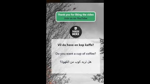 Essential Danish Phrases for Beginners | 1