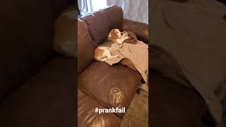 Sleeping Puppy Treat Prank Fail