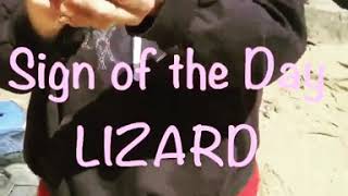 Sign of the Day LIZARD