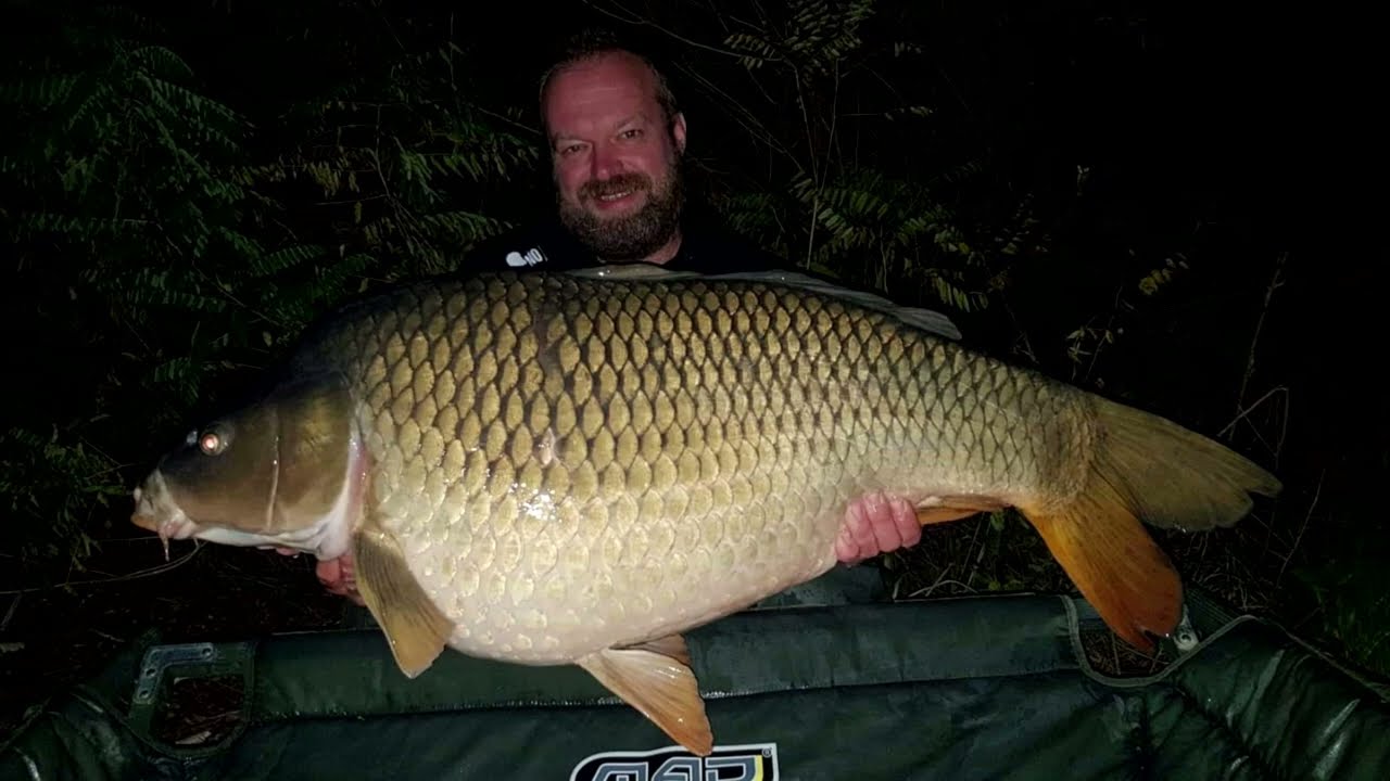 NO RESPECT Kimot Team ●  K24+