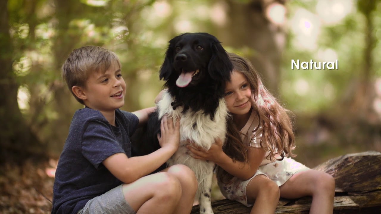 Probiotic LIVE AUG2018