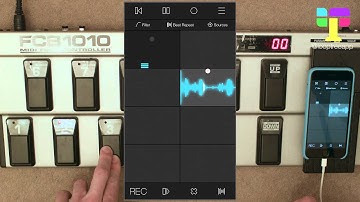Programming the Behringer FCB1010 for LoopTree