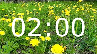 2 Minute Spring Timer with Relaxing Music and Flowers for Meditation
