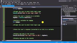 ISM 220: User Input