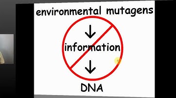 07 Does the Environment Change DNA?