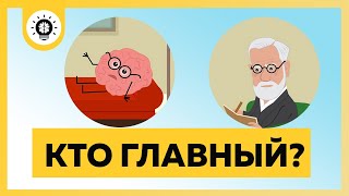 Мозг или психика? Нейропсихология