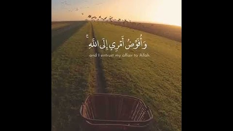 سورة غافر ، هزاع البلوشي