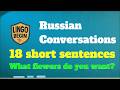Russian Conversations｜18 short sentences｜What flowers do you want? #audiobook #russian  #beginners