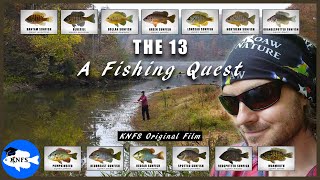The 13 | A Fishing Quest for All the Common Sunfishes