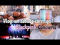 vlog: un Sábado conmigo :) concierto de blackpink 💕, hago mis accesorios🧵, bookbox Harry Potter ⚡️