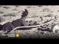 view Why the 1940 Italian Push to Invade Egypt Ends in Defeat | Smithsonian Channel digital asset number 1