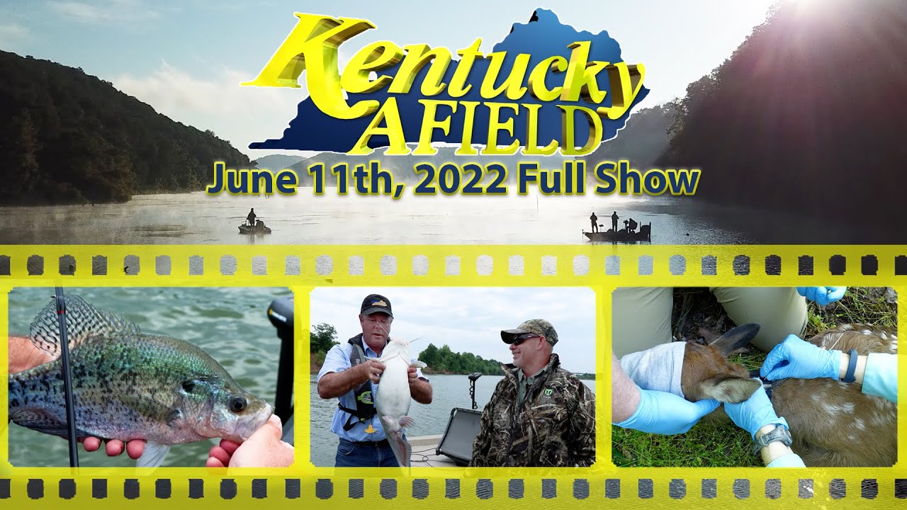June 11th, 2022 Full Show Cumberland River Catfish, Crappie Fishing