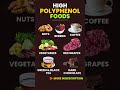 High Polyphenol Foods – For Antioxidant &amp; Anti-Inflammatory Power #polyphenols #antioxidants Mp3 Song