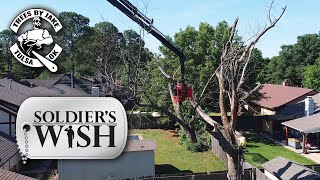 DEAD Tree Removal with Crane! #treework #treeremoval #crane