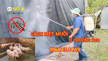 Cách Diệt Muỗi Cho Chuồng Heo: Hiệu Quả Tức Thì, An Toàn Tuyệt Đối Cho Đàn Heo