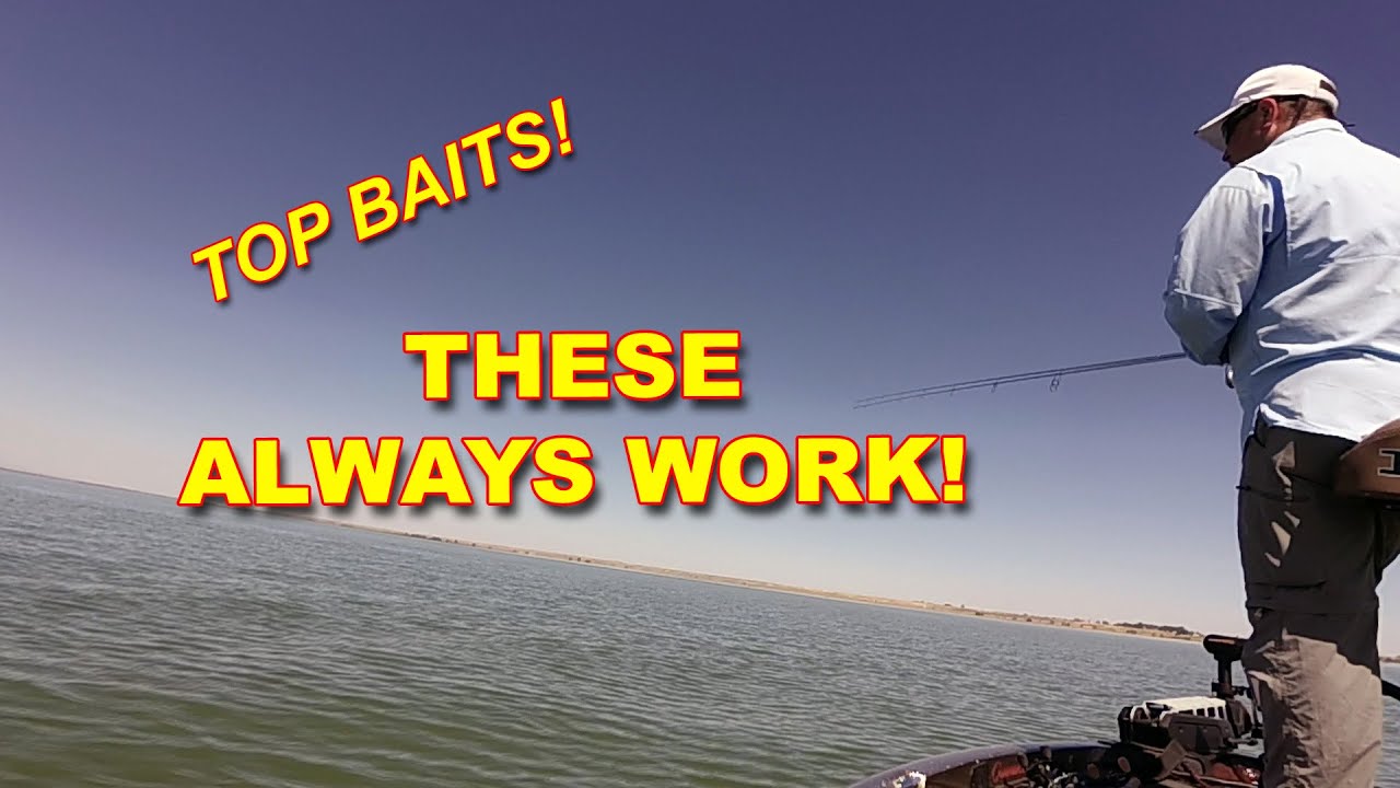 Cool Baits For Hot Weather