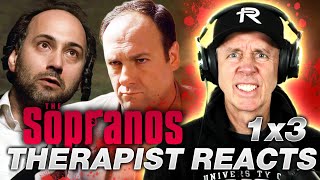 Denial, Anger, Acceptance | Therapist REACTS to The Sopranos Season 1 Episode 3