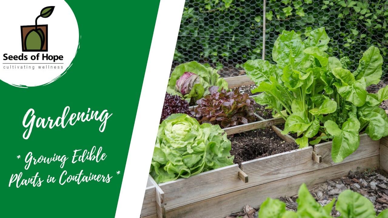 Gardens / Composting - Seeds Of Hope