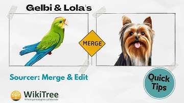 📜 #WikiTree #Sourcer Merge and Edit for easy comparing and adding sources.