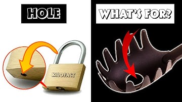 12 Everyday Things You Never Knew Even Had A Purpose