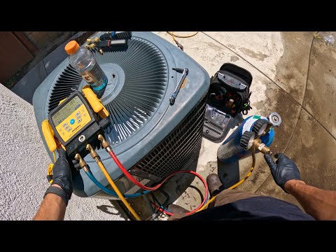 This Adu Had Tons Of Problems…